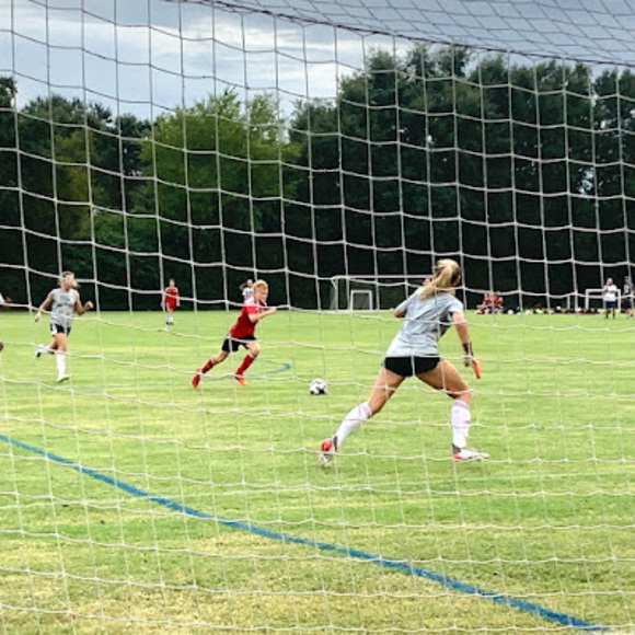 Meet your Posher, Sophia and friends - Picture 1 of 1